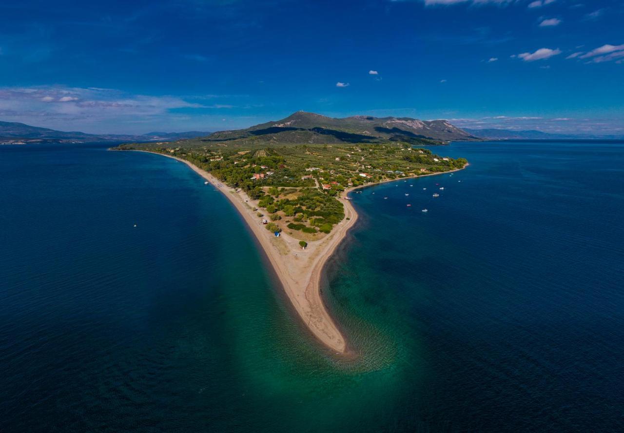 Appartamento Penelope -Πηνελόπη Loutra Edipsou  Esterno foto